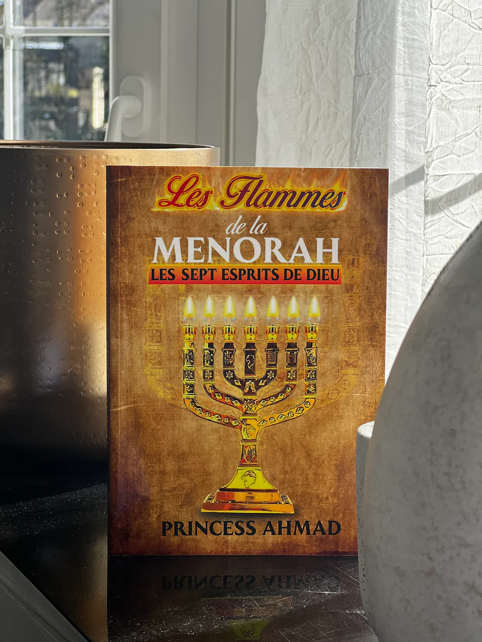 Les Flammes de la Menorah | Princess Ahmad